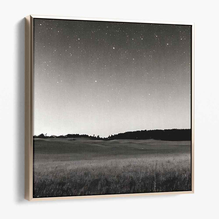 Moonlit Monochrome Mirage: Black and White Night Landscape Canvas Art Print