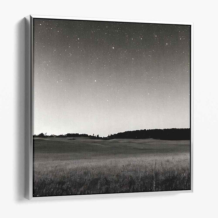 Moonlit Monochrome Mirage: Black and White Night Landscape Canvas Art Print