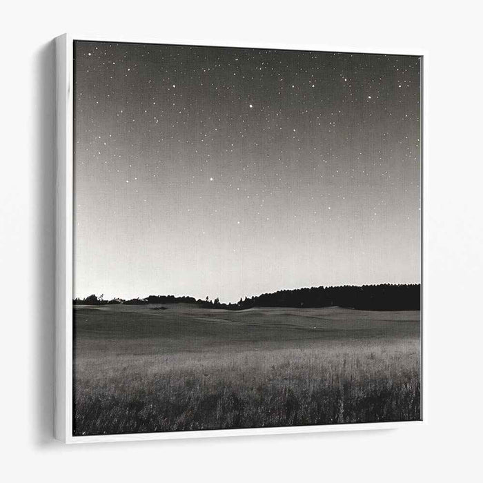Moonlit Monochrome Mirage: Black and White Night Landscape Canvas Art Print