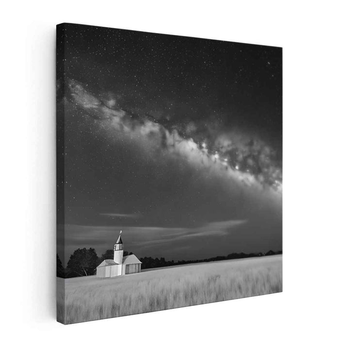 Moonlit Melancholy: A Nocturnal Symphony in Black and White