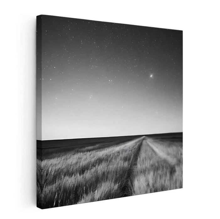 Starlit Path: Serene Black and White Landscape Canvas Art Print