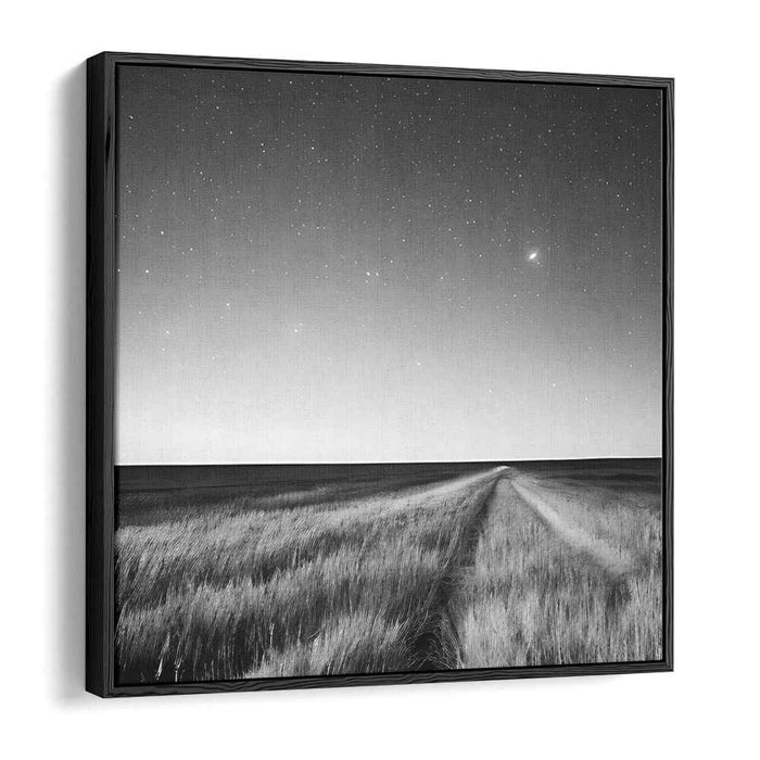 Starlit Path: Serene Black and White Landscape Canvas Art Print
