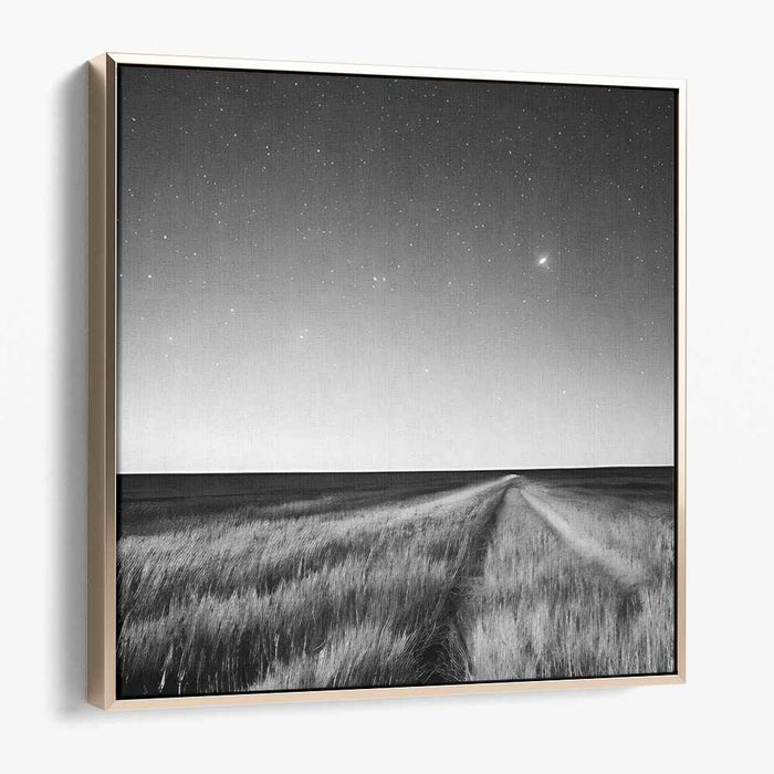Starlit Path: Serene Black and White Landscape Canvas Art Print
