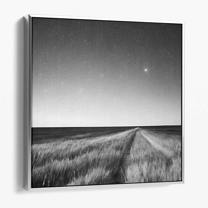 Starlit Path: Serene Black and White Landscape Canvas Art Print