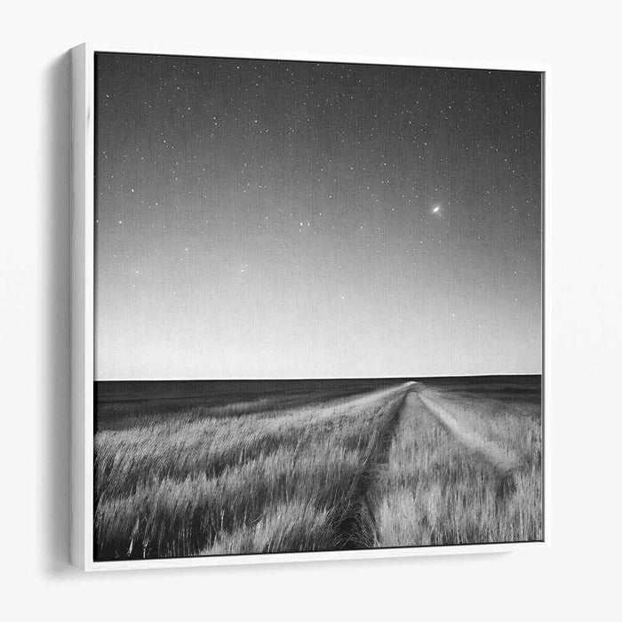 Starlit Path: Serene Black and White Landscape Canvas Art Print