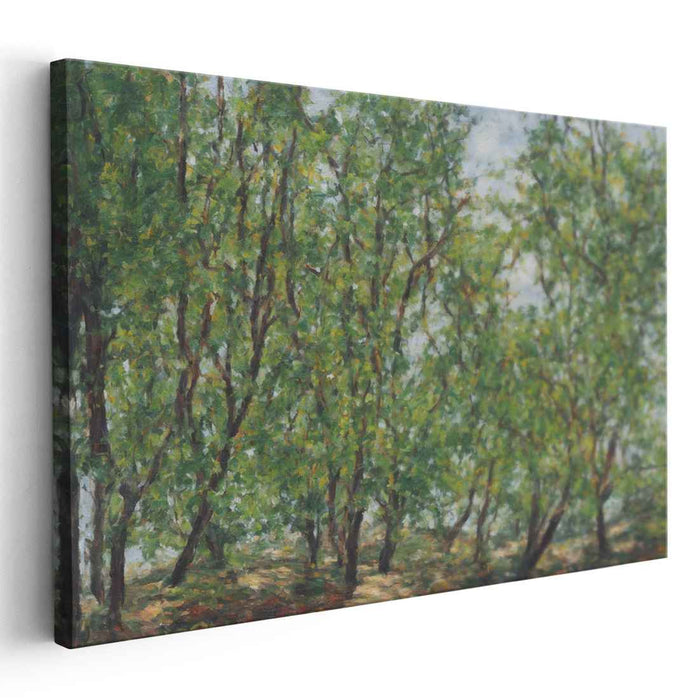 Dogwood Oil Painting #105