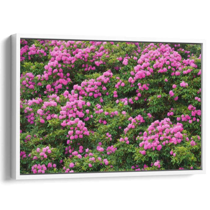 Rhododendron Oil Painting #104