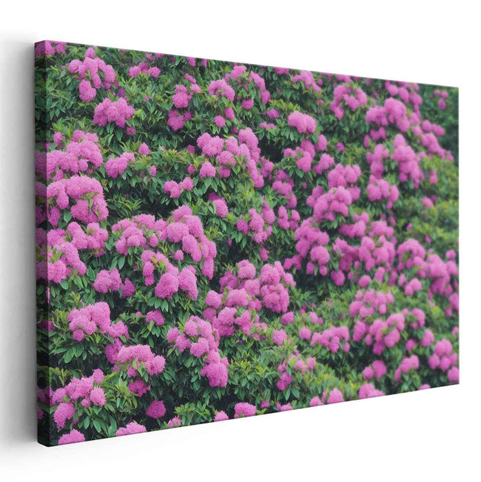 Soft Petal Impressions: Realistic Pink Hydrangeas Canvas Art Print