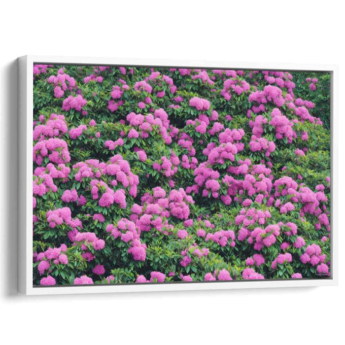 Soft Petal Impressions: Realistic Pink Hydrangeas Canvas Art Print