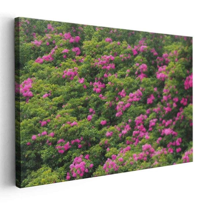 Fuchsia Canopy Harmony: Vibrant Pink Flowers in a Verdant Canopy