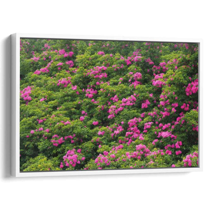 Fuchsia Canopy Harmony: Vibrant Pink Flowers in a Verdant Canopy