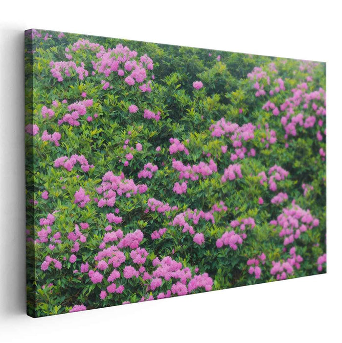 Magic Blush Petal Dreams: Lush Pink Rhododendron Blossoms Canvas Art Print