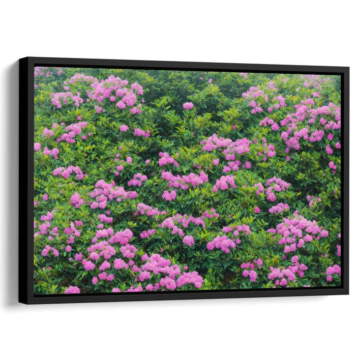 Magic Blush Petal Dreams: Lush Pink Rhododendron Blossoms Canvas Art Print
