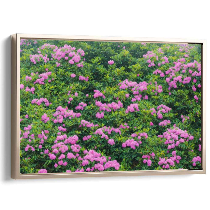 Magic Blush Petal Dreams: Lush Pink Rhododendron Blossoms Canvas Art Print