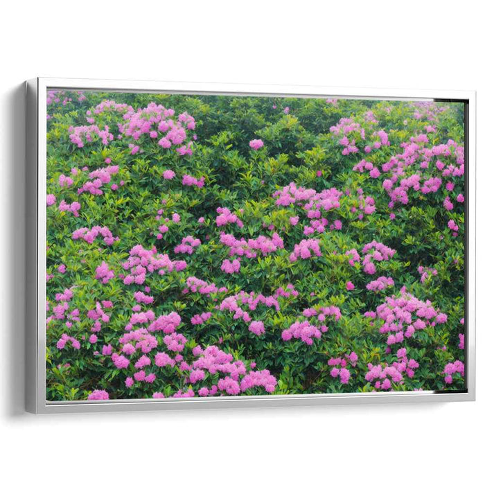 Magic Blush Petal Dreams: Lush Pink Rhododendron Blossoms Canvas Art Print