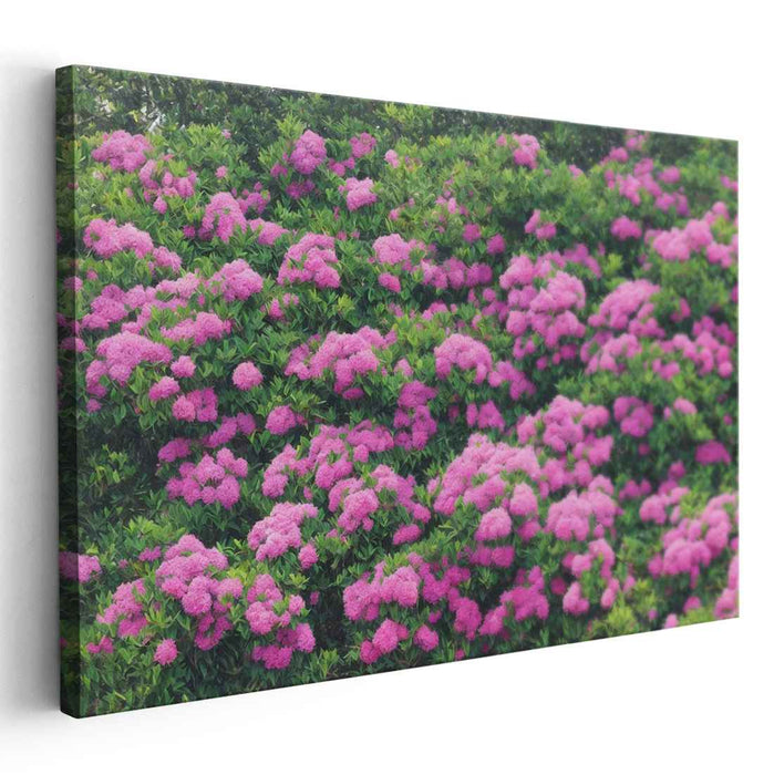 Floral Symphony II: Lush Pink Floral Garden Canvas Art Print