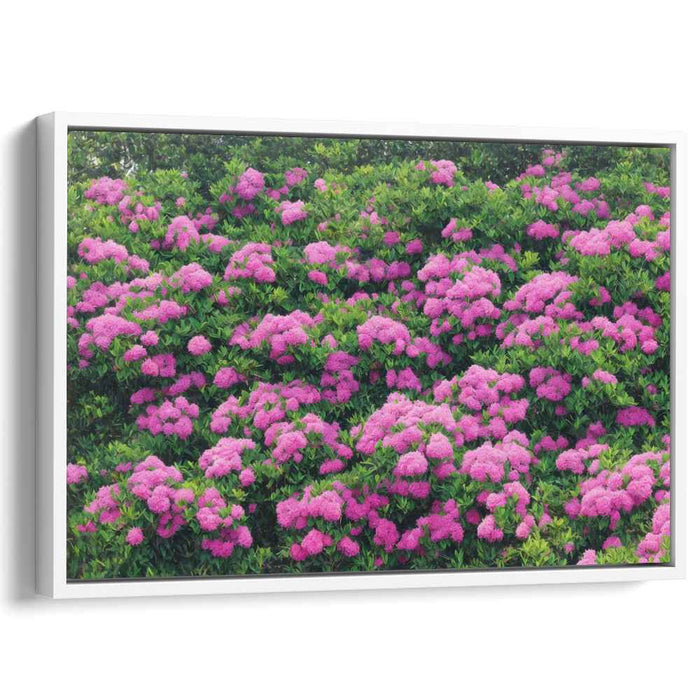 Floral Symphony II: Lush Pink Floral Garden Canvas Art Print