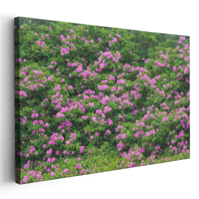 Garden Tapestry: Vibrant Floral Landscape Canvas Art