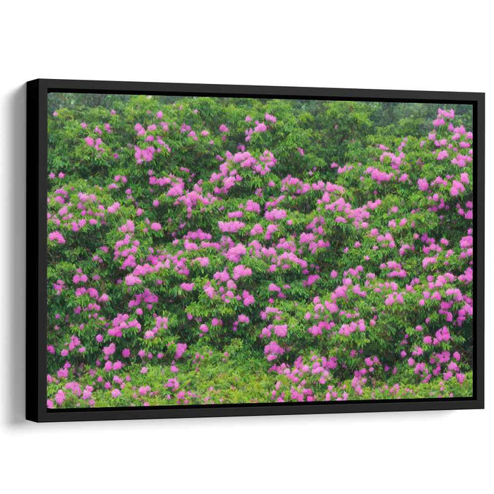 Garden Tapestry: Vibrant Floral Landscape Canvas Art