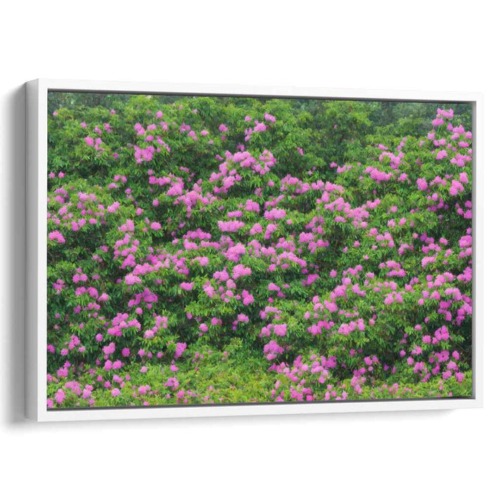 Garden Tapestry: Vibrant Floral Landscape Canvas Art