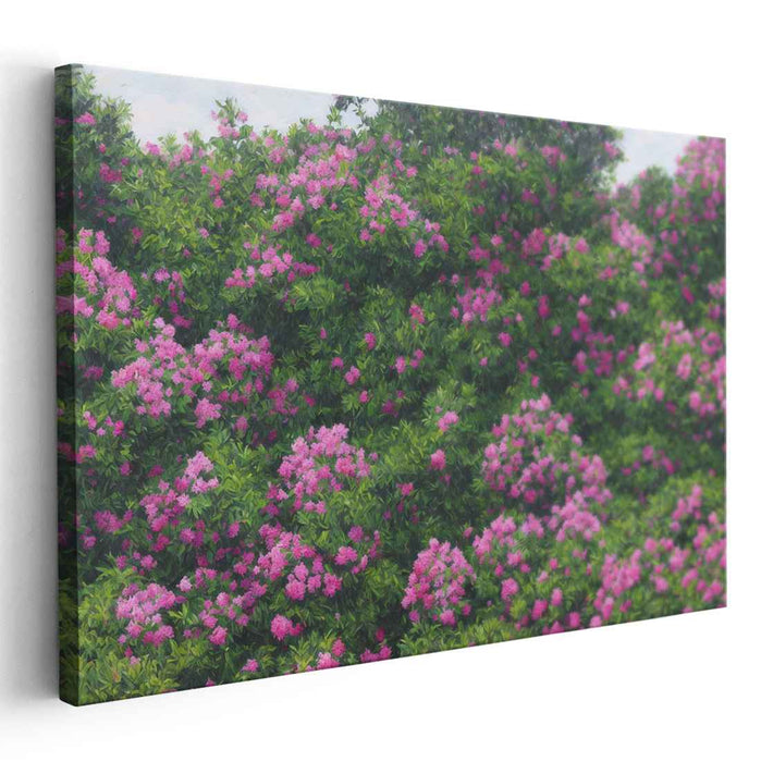 Pink Petal Poetry: Blossoming Pink Crepe Myrtles Canvas Art Print