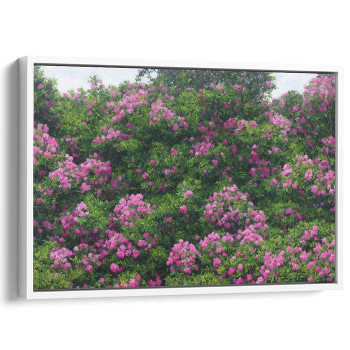 Pink Petal Poetry: Blossoming Pink Crepe Myrtles Canvas Art Print