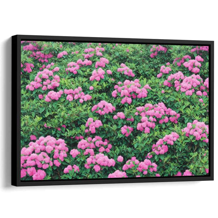 Garden Elegance Expressed: Lush Pink Hydrangea Garden Canvas Art Print