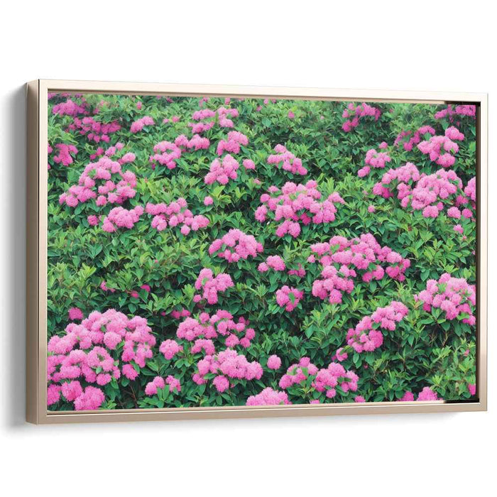 Garden Elegance Expressed: Lush Pink Hydrangea Garden Canvas Art Print
