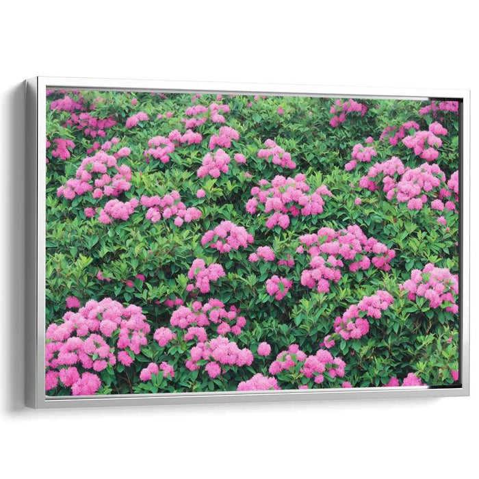 Garden Elegance Expressed: Lush Pink Hydrangea Garden Canvas Art Print