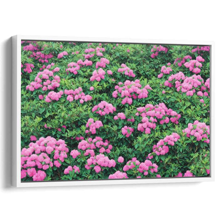 Garden Elegance Expressed: Lush Pink Hydrangea Garden Canvas Art Print