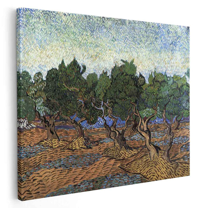 Olive Grove (1889) by Vincent van Gogh