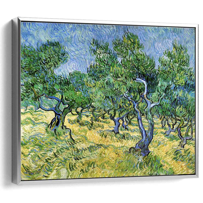 Olive Grove (1889) by Vincent van Gogh