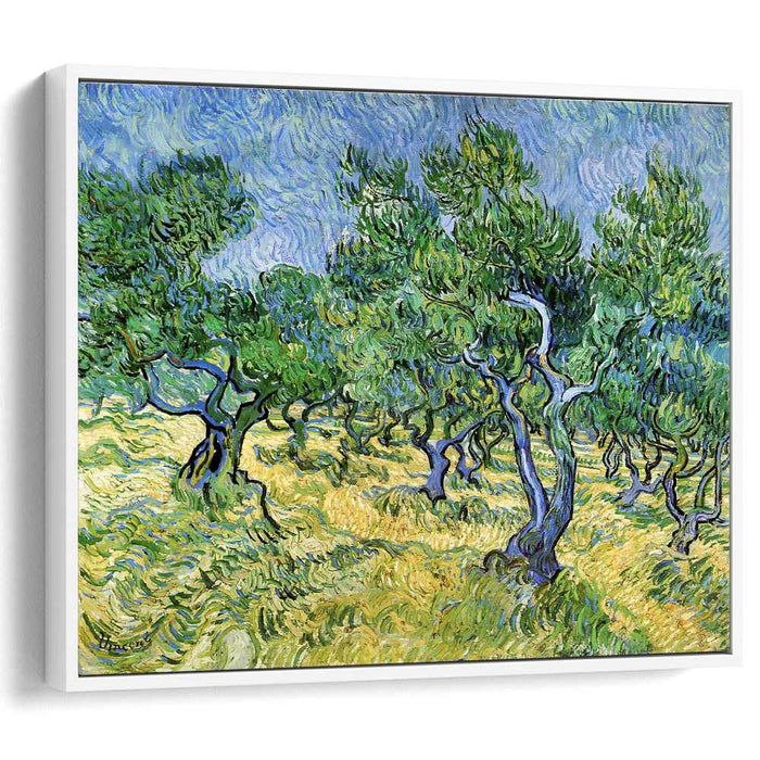 Olive Grove (1889) by Vincent van Gogh