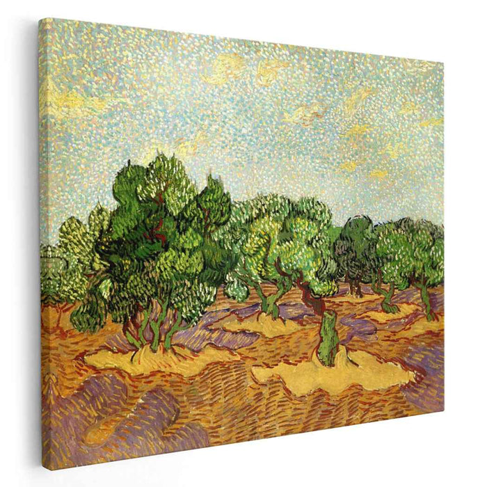 Olive Grove - Pale Blue Sky (1889) by Vincent van Gogh