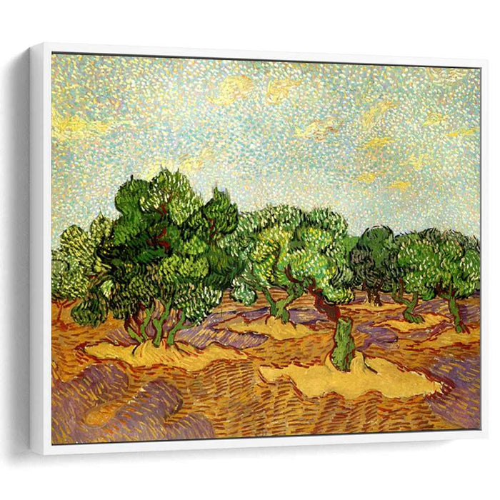 Olive Grove - Pale Blue Sky (1889) by Vincent van Gogh