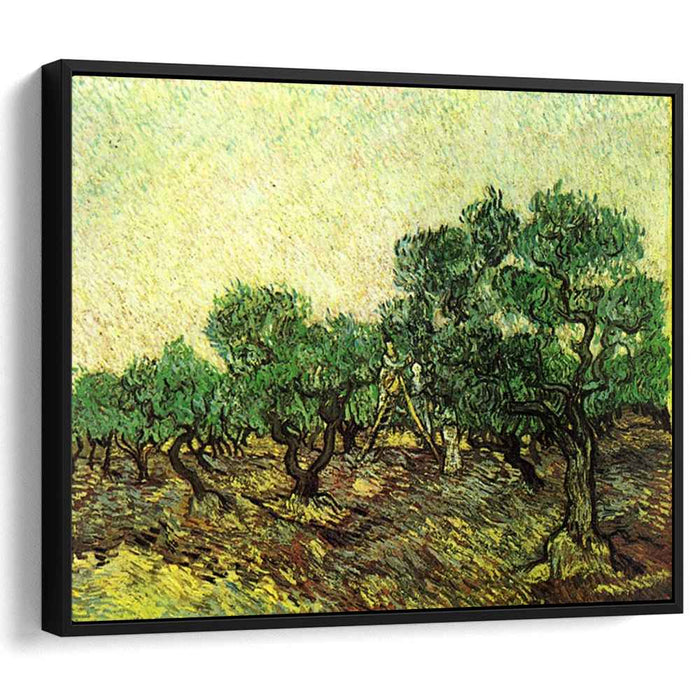 Olive Picking (1889) by Vincent van Gogh