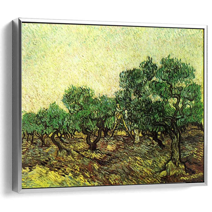 Olive Picking (1889) by Vincent van Gogh