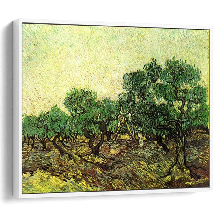 Olive Picking (1889) by Vincent van Gogh
