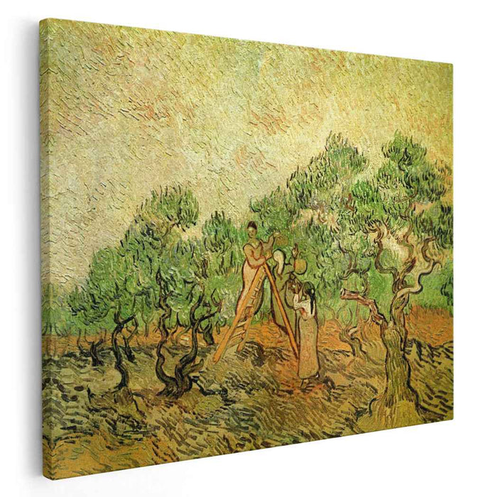 Olive Picking (1889) by Vincent van Gogh