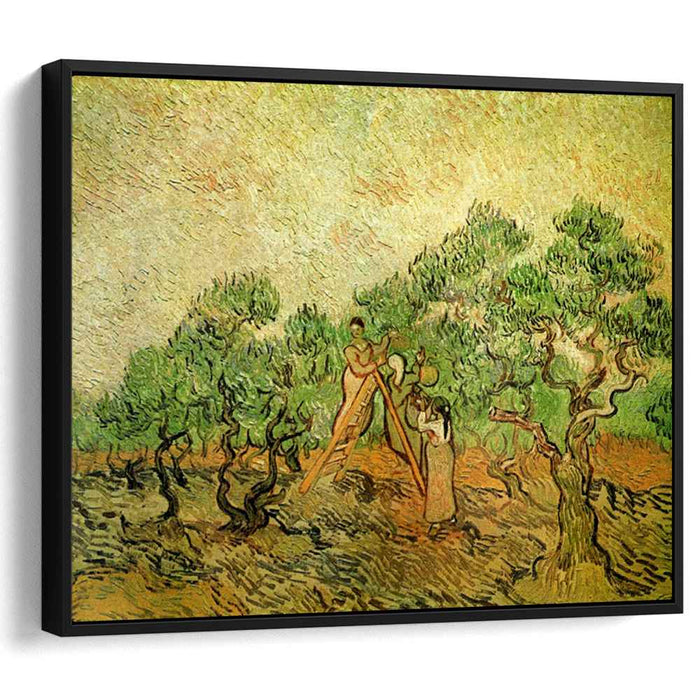 Olive Picking (1889) by Vincent van Gogh