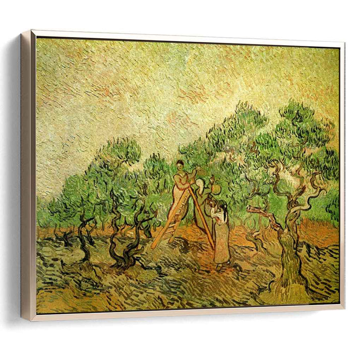 Olive Picking (1889) by Vincent van Gogh