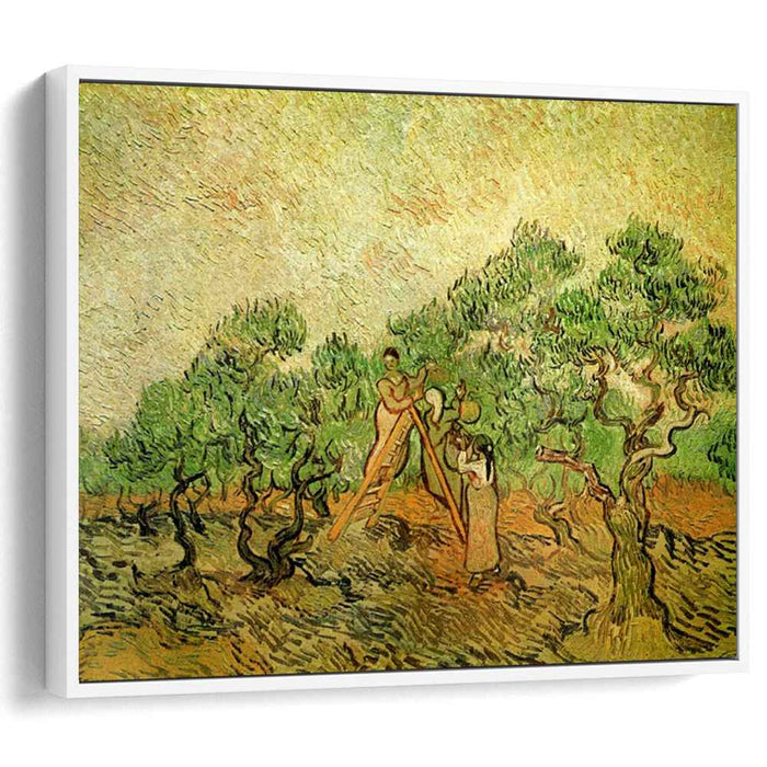 Olive Picking (1889) by Vincent van Gogh