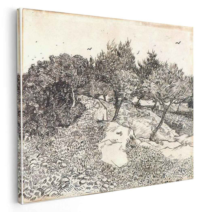 Olive Trees (1888) by Vincent van Gogh