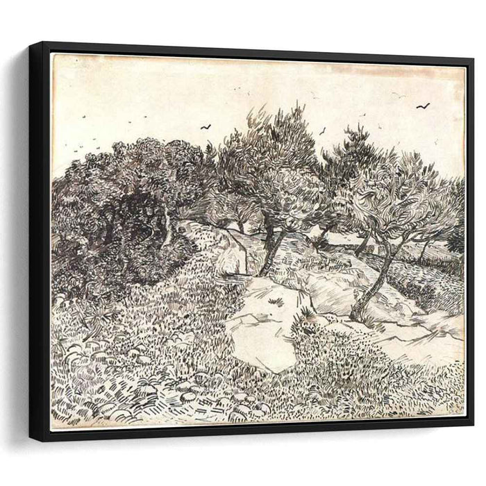 Olive Trees (1888) by Vincent van Gogh