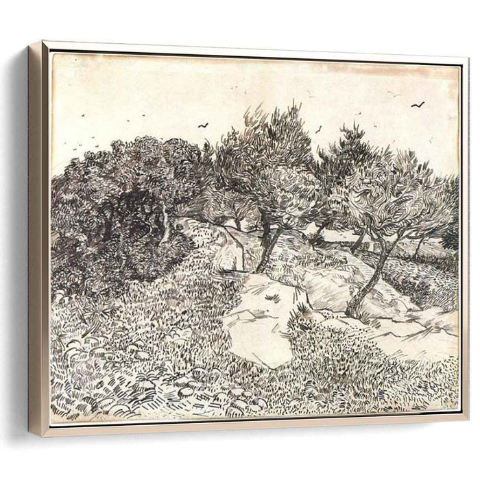 Olive Trees (1888) by Vincent van Gogh