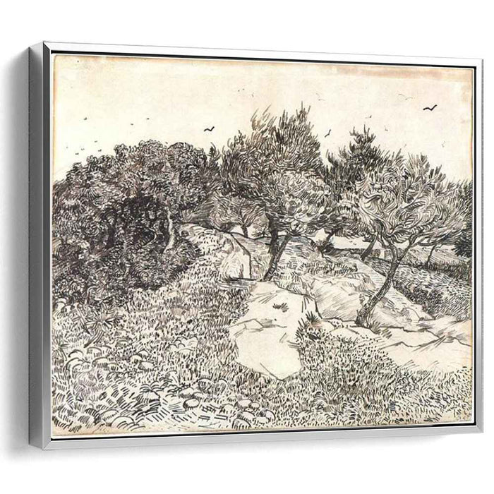 Olive Trees (1888) by Vincent van Gogh