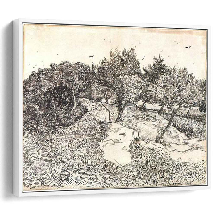 Olive Trees (1888) by Vincent van Gogh