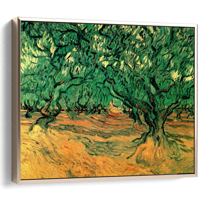 Olive Trees (1889) by Vincent van Gogh