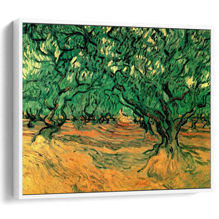 Olive Trees (1889) by Vincent van Gogh