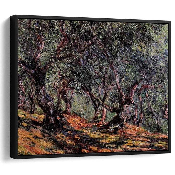 Olive Trees in Bordigher (1884) by Claude Monet